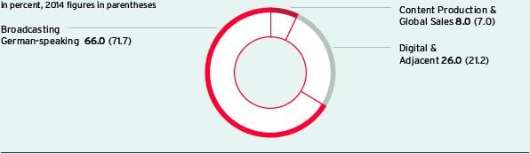 Revenues by segment (Pie chart)